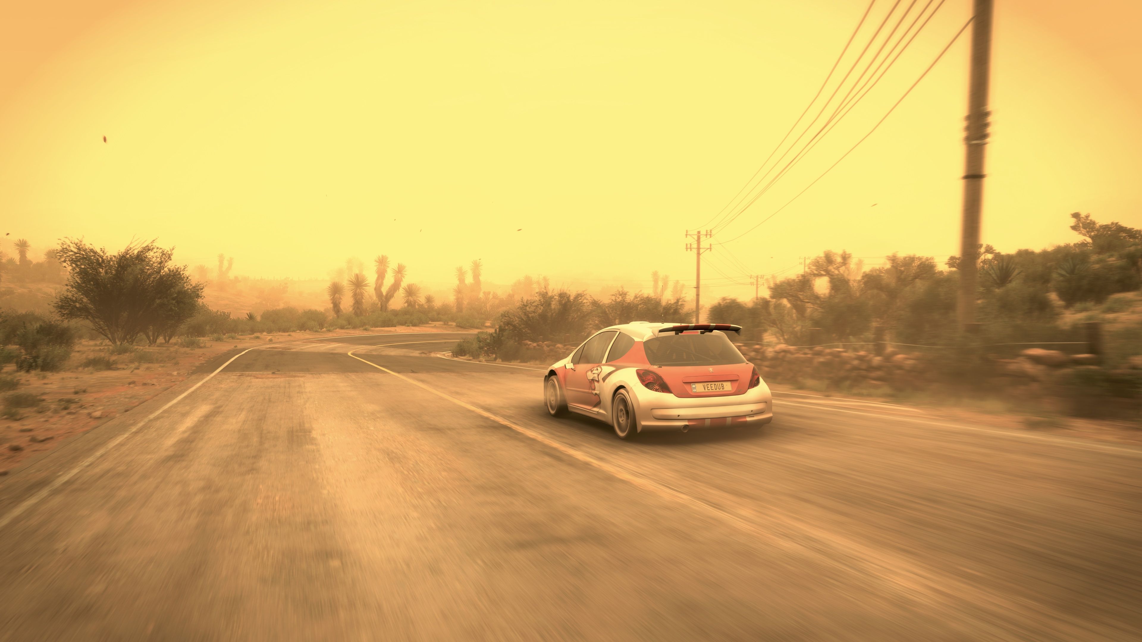 A screenshot from Forza Horizon 5 taken from the rear three-quarter profile of my rally-spec Peugeot 207 hatchback. The car is blasting along a rather rough-looking road that's curving off to the right, with cactuses and scrappy bushes along both sides of it. The whole scene is tinted yellow because there's a huge dust storm blowing through, the sky is completely yellow, and there's very little visibility past the closest tree line. There's even a few pieces of leaf litter blowing around in the wind.