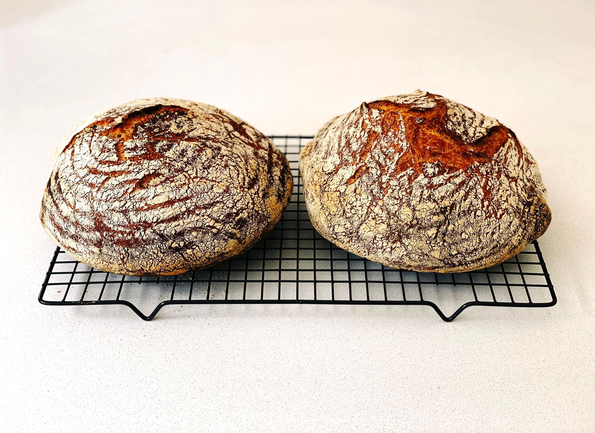 A photo of two round flour-covered golden-brown loaves of bread sitting on a cooling rack.