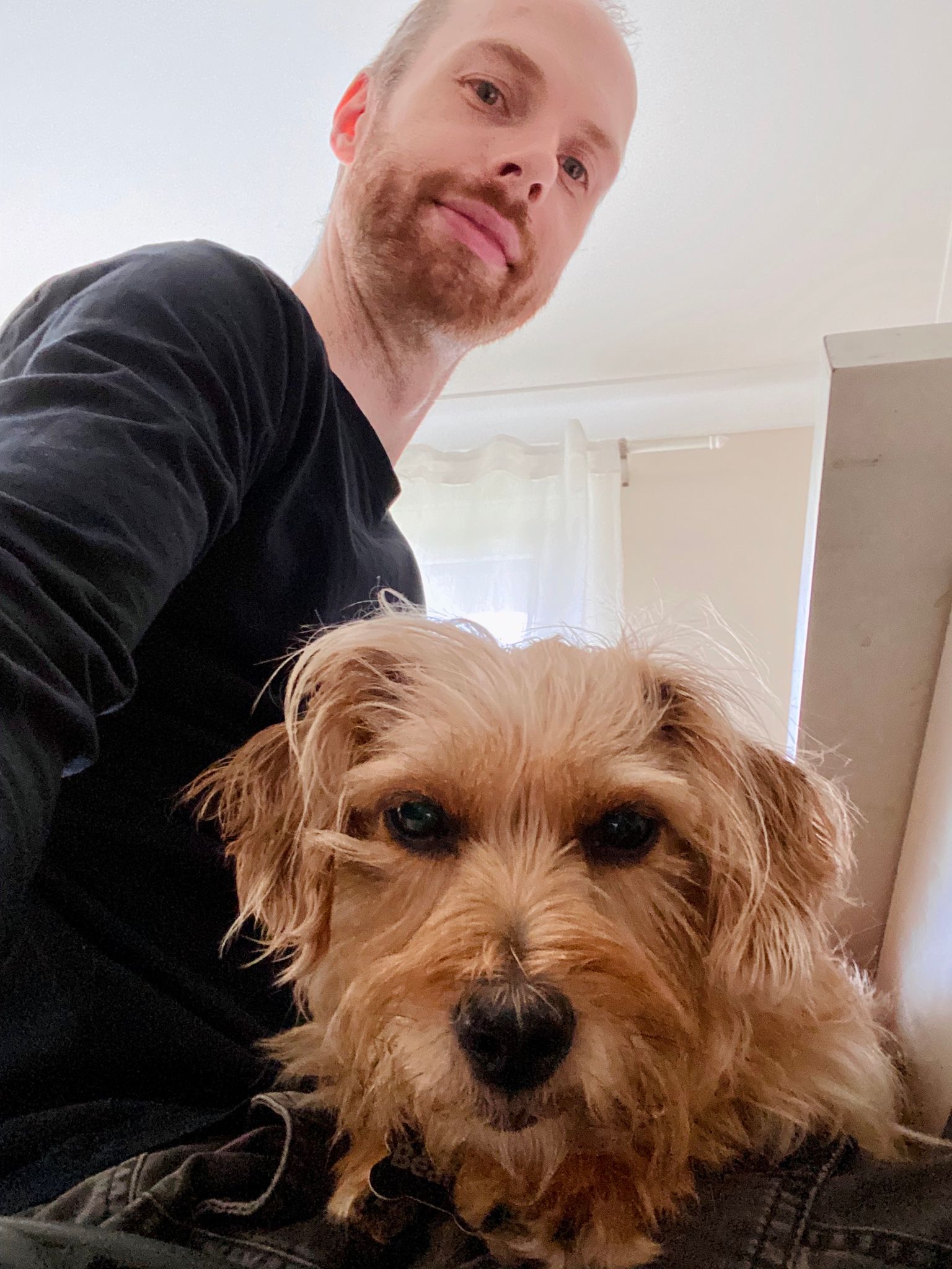 A photo of the same dog but taken with the front camera from a low angle beside me, showing him looking all dishevelled, and me, a white man with a closely-shaven red beard, both looking at the camera.