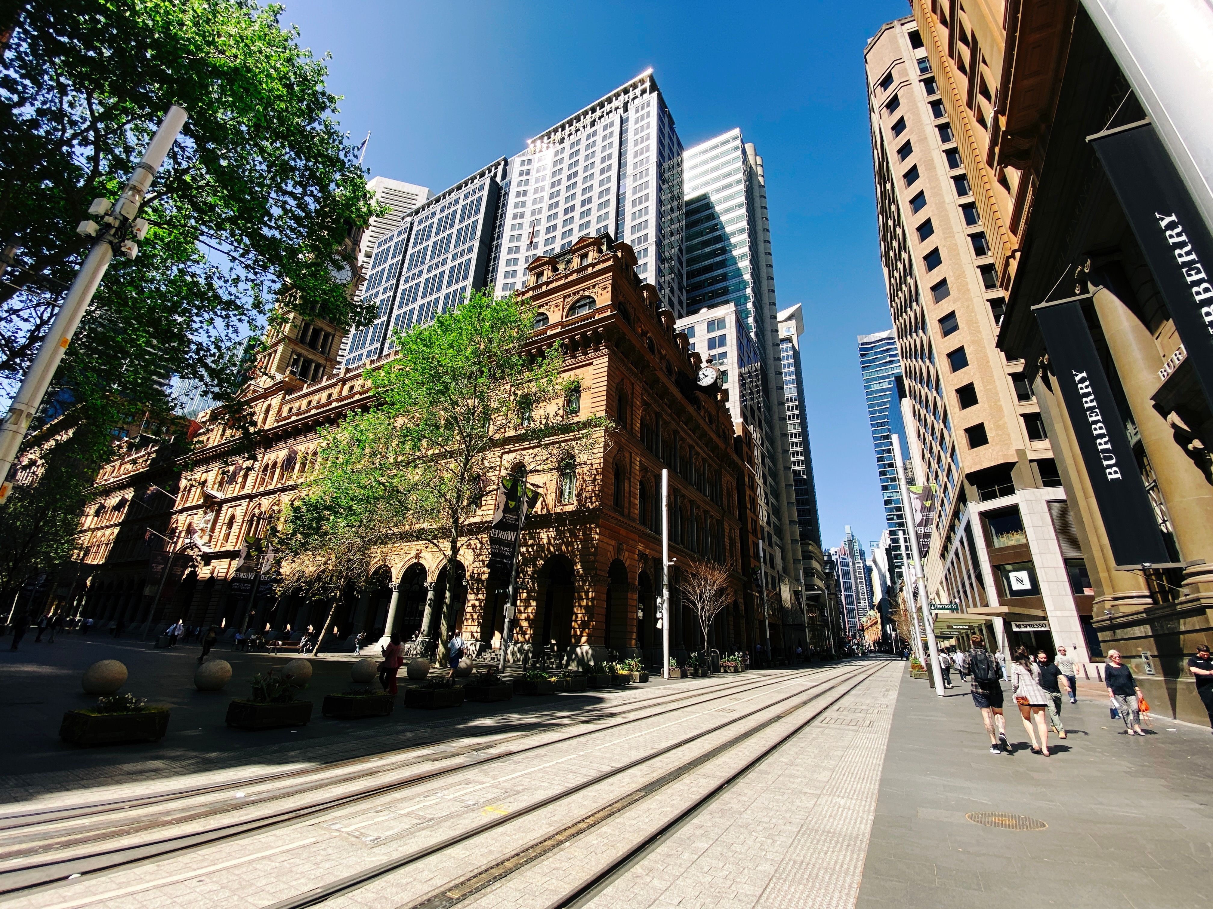 A wide-angle photo taken from George St in Sydney. There's tram tracks running down the street, tall buildings on either side, and a nice big green tree at the left. It's delightfully sunny and the sky is blue.