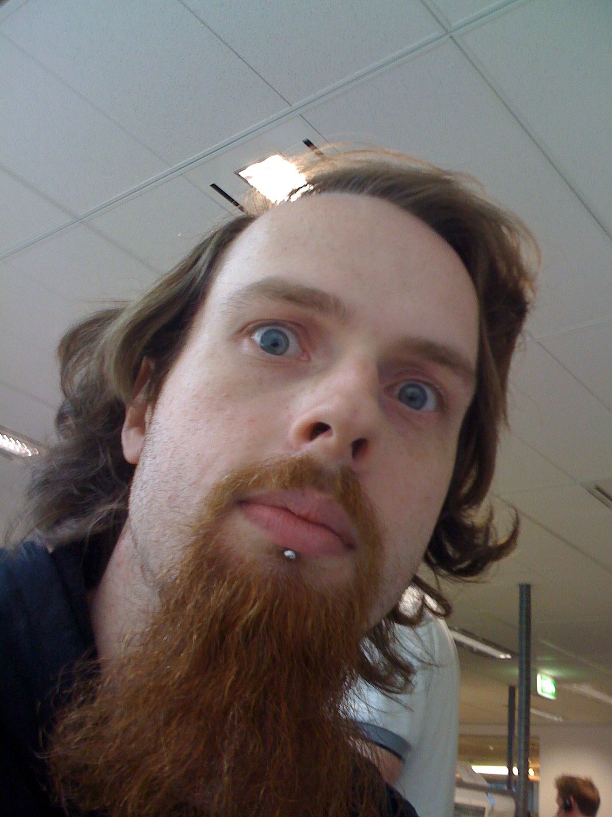 A selfie of me, a white man with long-ish hair and a very long red goatee, looking intensely at the camera.