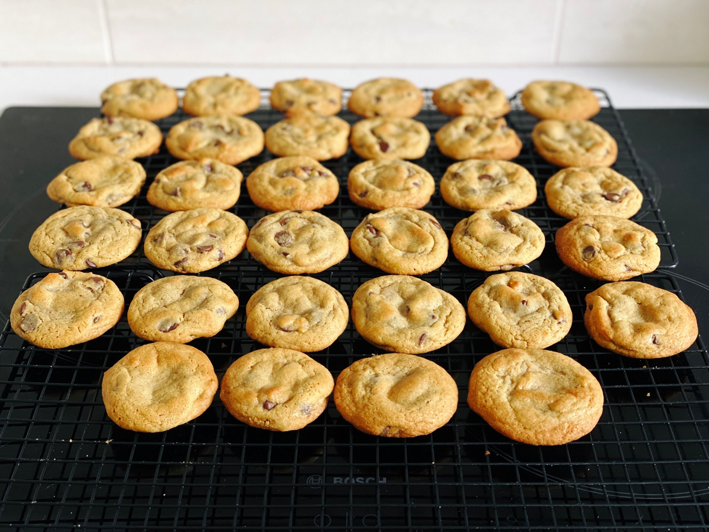 A photo of two cooling racks with small-ish round golden-brown cookies on top.