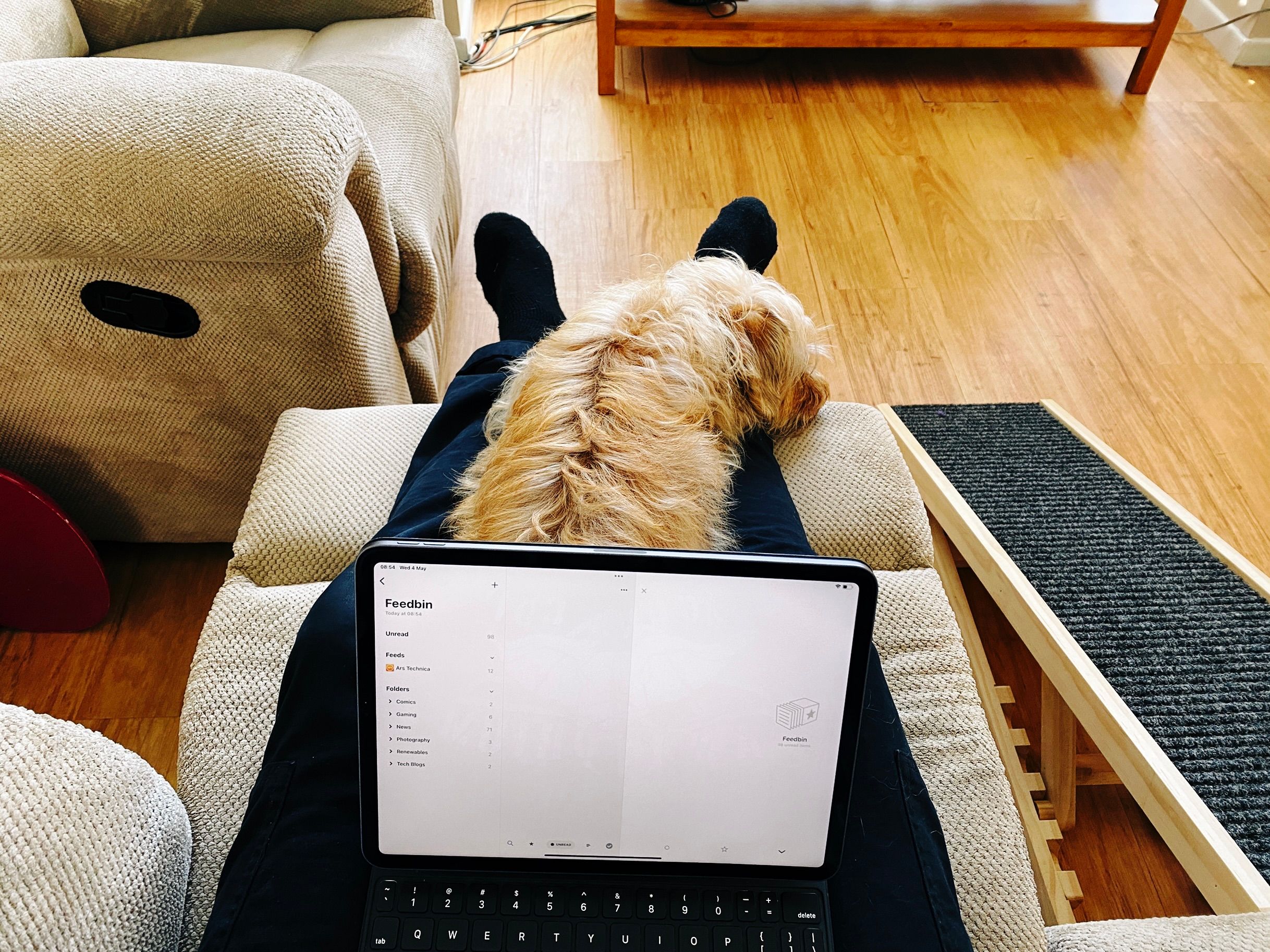 A photo taken from my perspective, I'm sitting on a recliner lounge with my feet up, have an iPad in my lap, and there's a small scruffy blonde dog lying between my legs with his head resting on my shin.