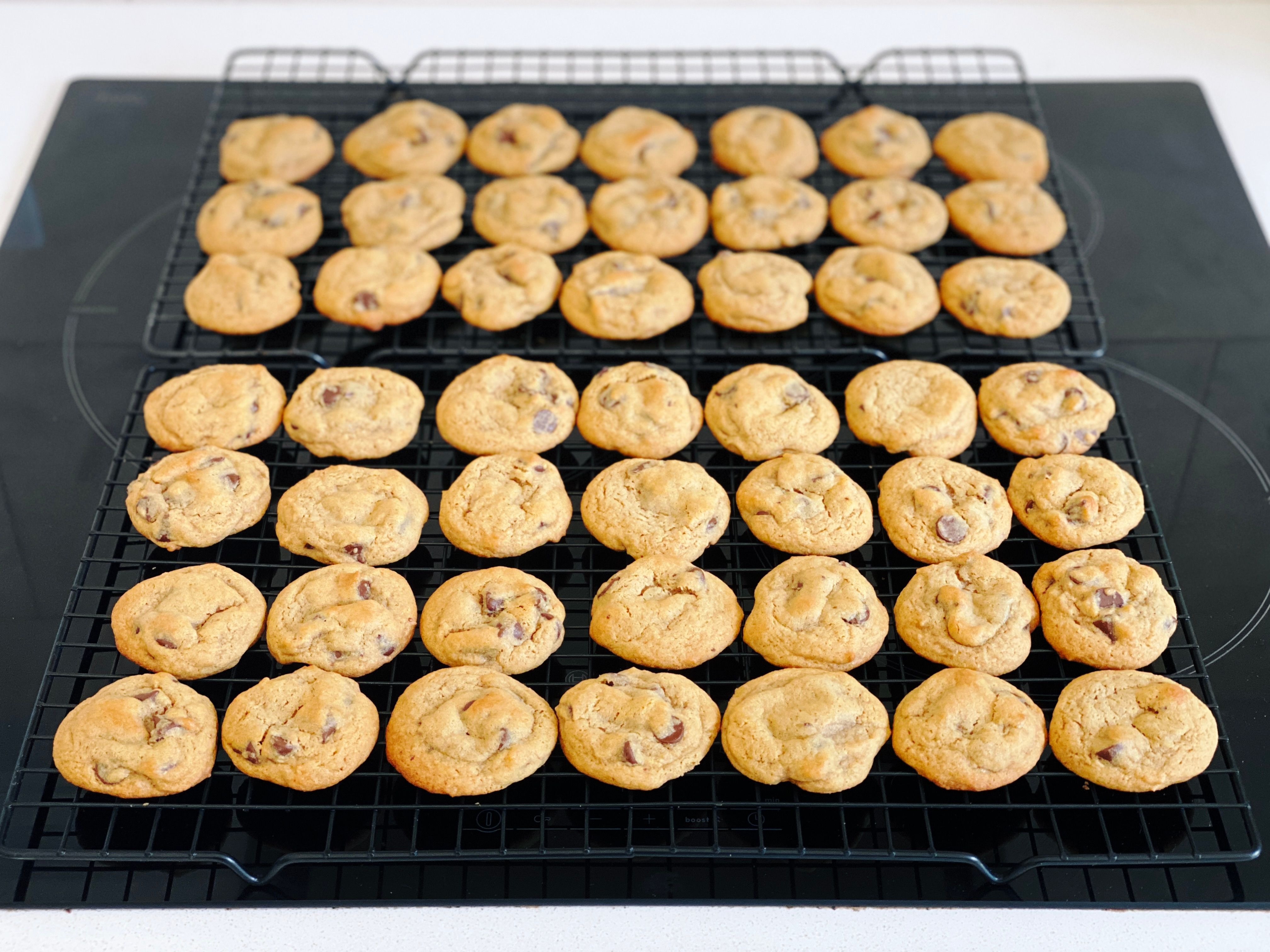 A photo of a bunch (forty-nine if we're being exact) of smallish golden-brown chocolate chip cookies sitting on two cooling racks.