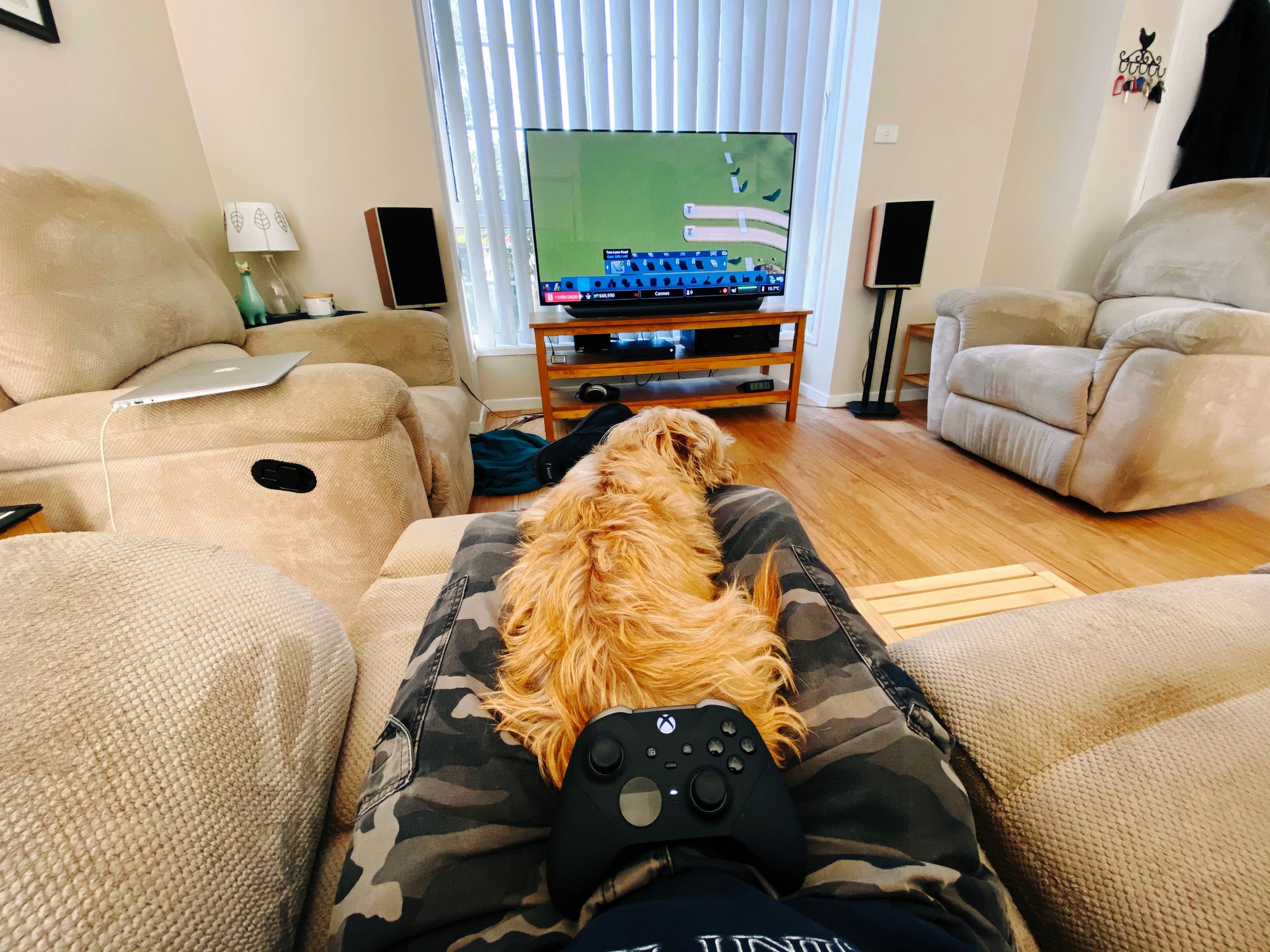 A photo taken from my perspective, I'm sitting on a recliner lounge with my feet up, a small blonde scruffy dog is lying on my legs, and an Xbox controller is sitting on the rear-end of the dog. I'm facing a TV that's on and showing the very start of a city in Cities: Skylines, with the two high entrances and nothing else yet.