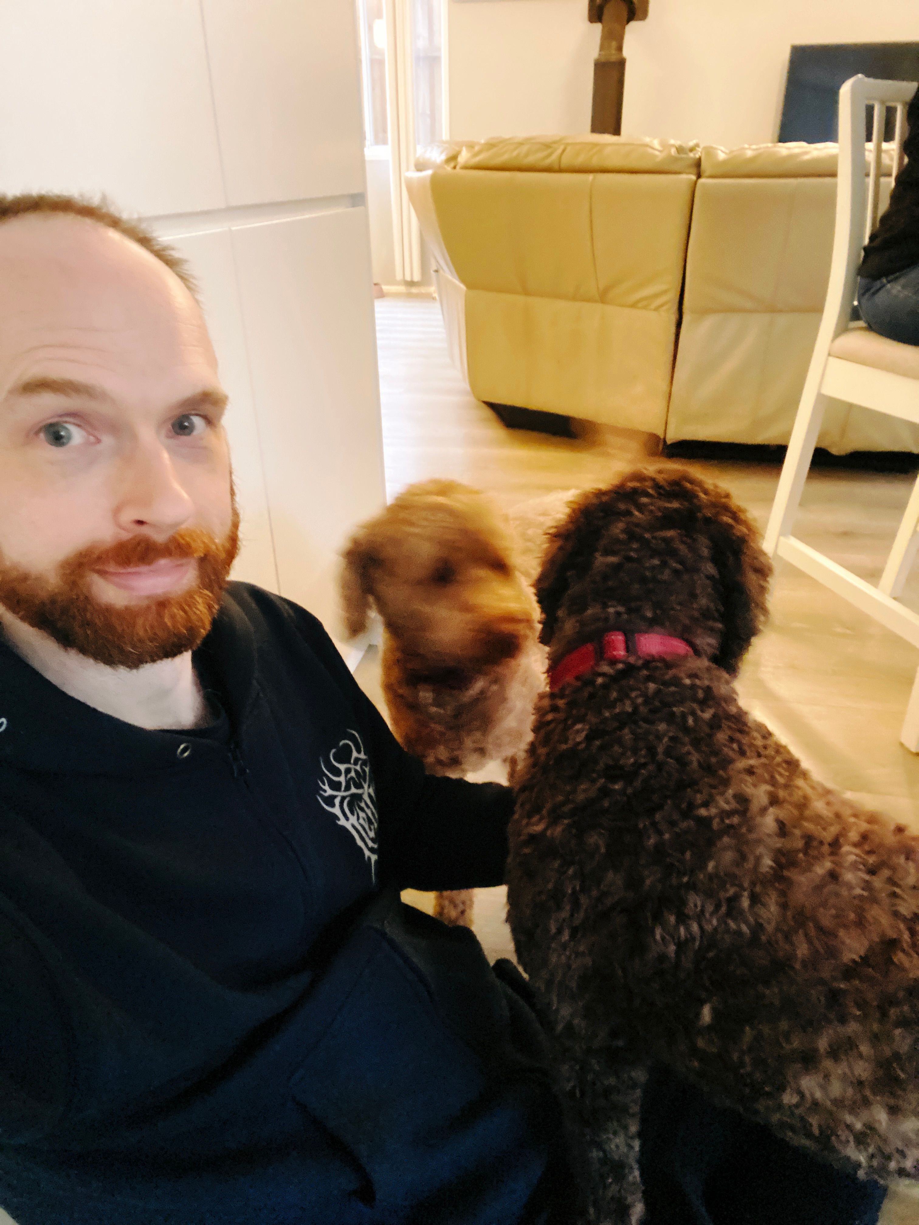 A selfie of me, a white man with an increasingly scruffy beard and brown hair. I'm smiling at the camera while a brown labradoodle is sitting with her butt and back legs on my lap, and a second tan one is mid-movement on my left.