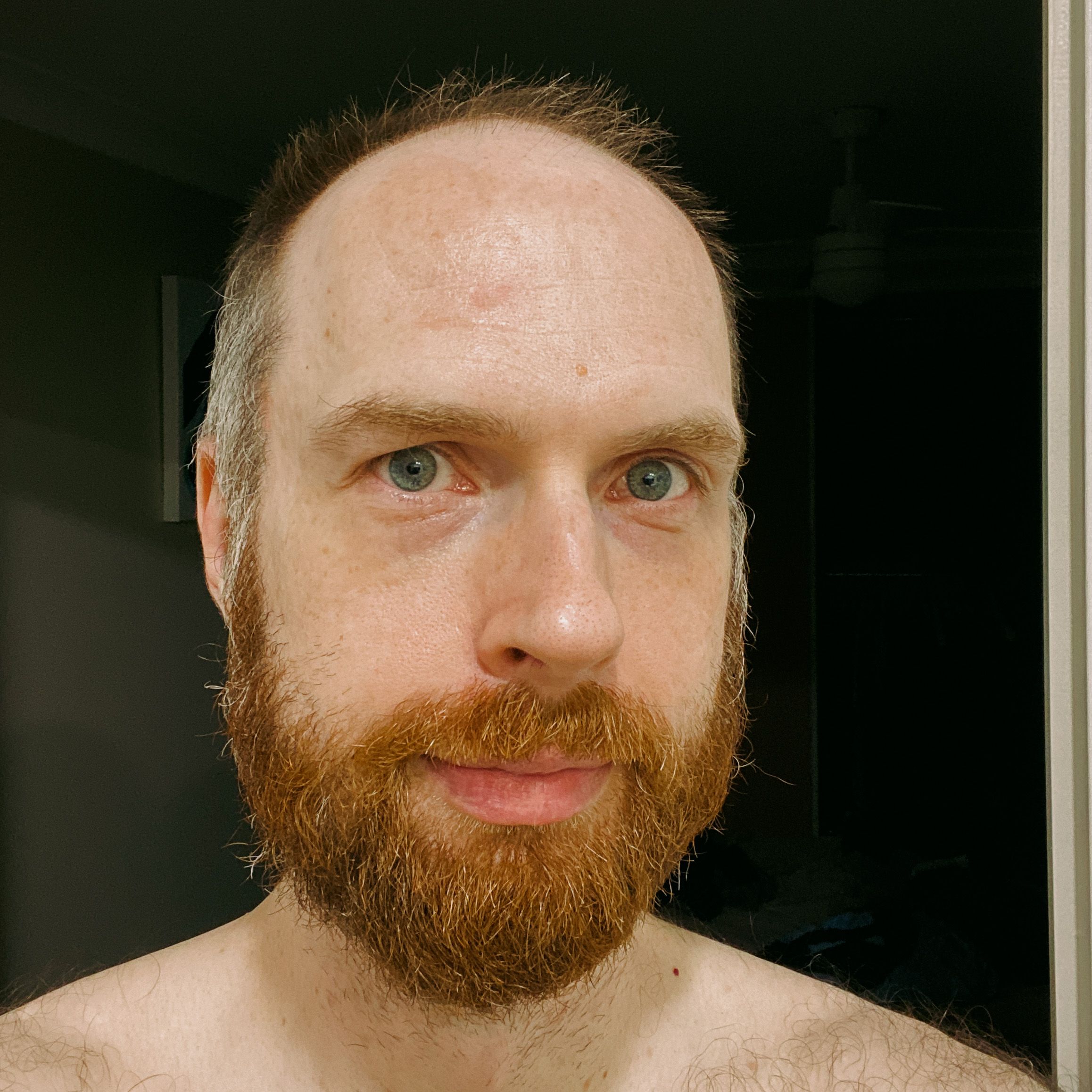A photo of me, a white man with blue eyes and a, uh, let's call it a "large" forehead, with a very fluffy and scruffy-looking full red beard and brown hair that's probably about a centimetre or so long.
