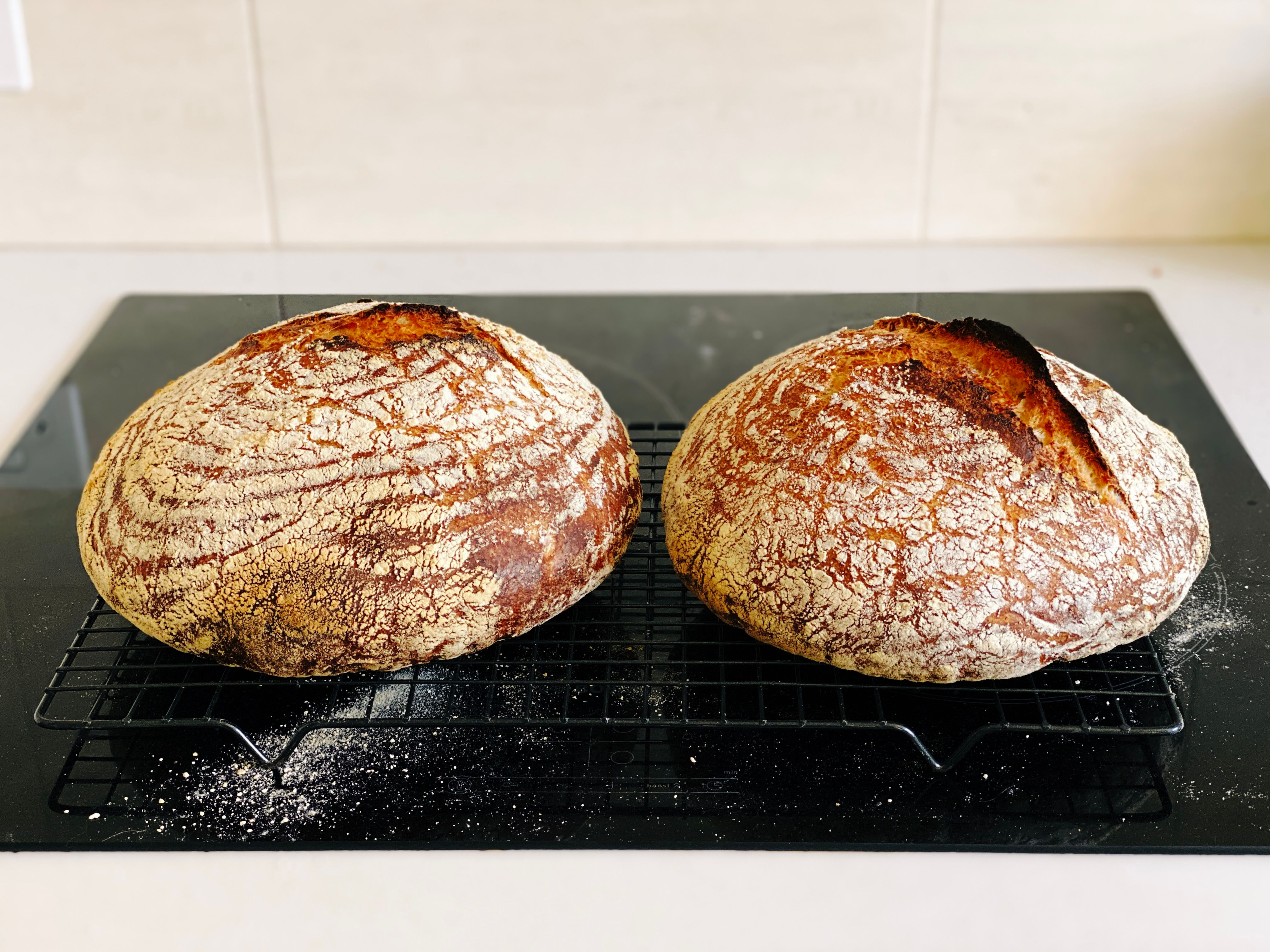 Two round golden brown loaves of bread covered in flour sitting on a cooling rack.