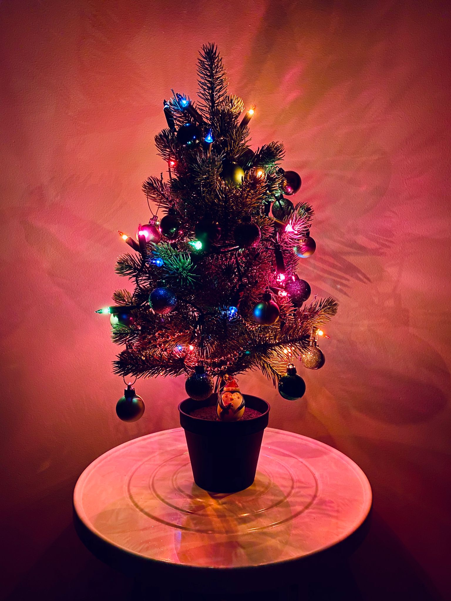 A photo of a Christmas tree covered in lights and shiny baubles, the whole scene is lit only by the light coming from the tree. It's sitting on a circular white pedestal and in the "pot" of the tree at the bottom is sitting a round little penguin figurine with a Santa hat on. He looks very happy.