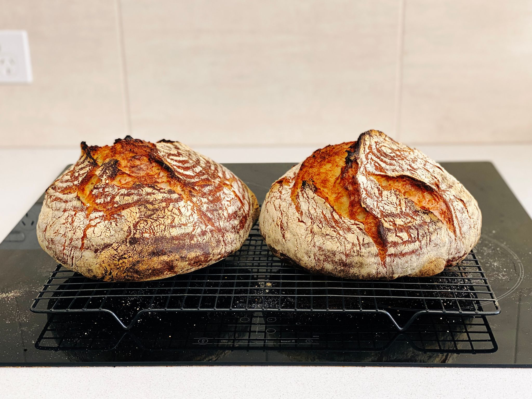 Two round golden brown loaves of bread sitting on a cooling rack. They're nicely tall and have excellent splits, as opposed to last time when they were very much flatter.