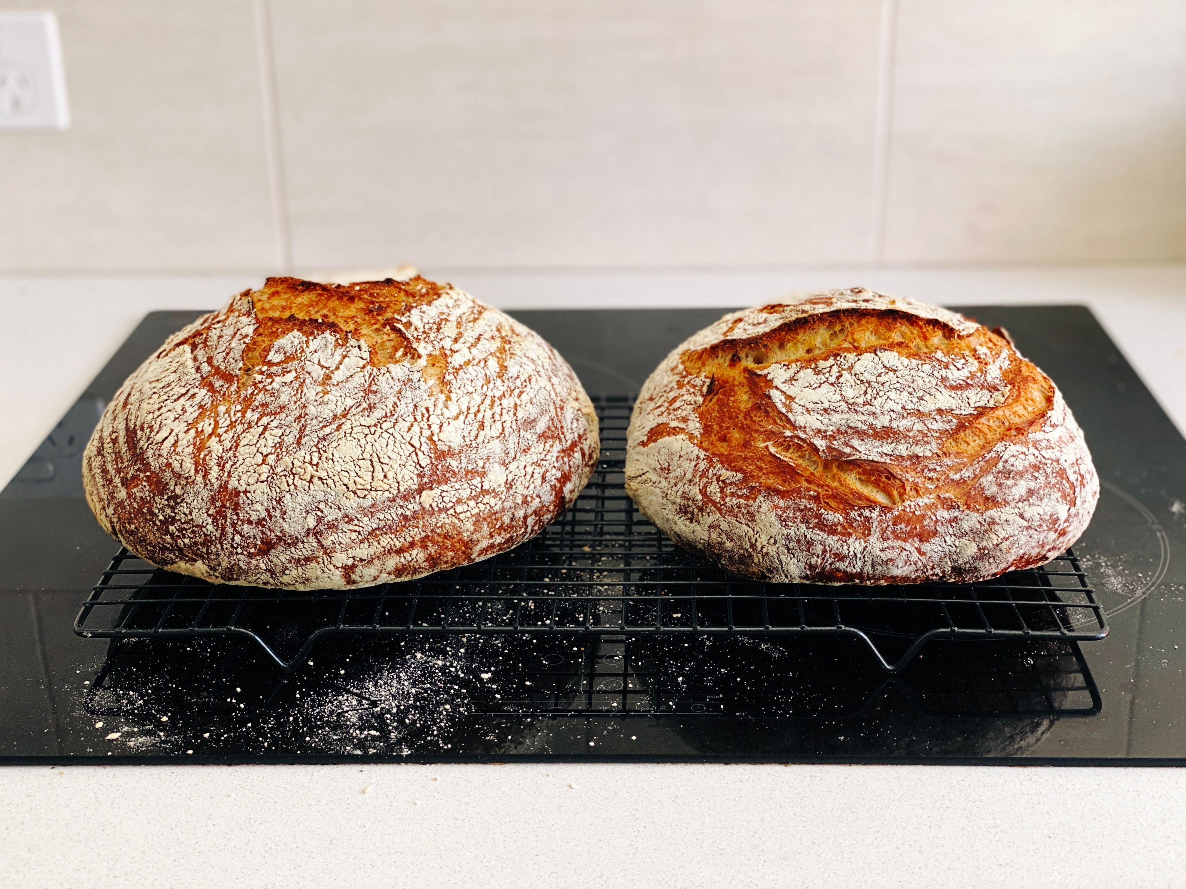A photo of two round golden-brown loaves of bread covered in flour, sitting on a cooling rack.