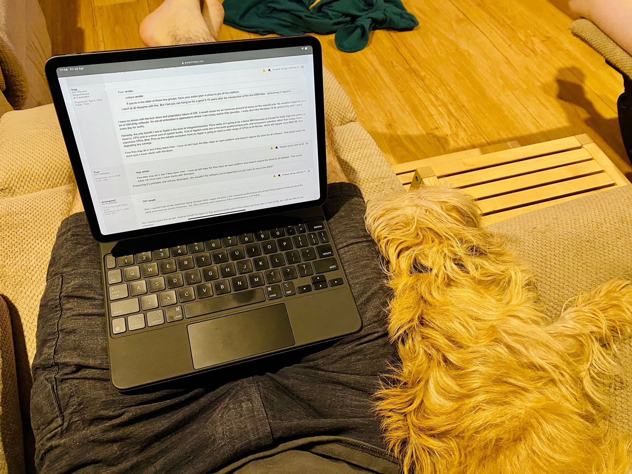 A photo taken looking from my point of view, I'm sitting on a reclining lounge with my feet up, iPad Pro with Magic Keyboard on my lap, and a small scruffy blonde dog lying snuggled up against my right leg.