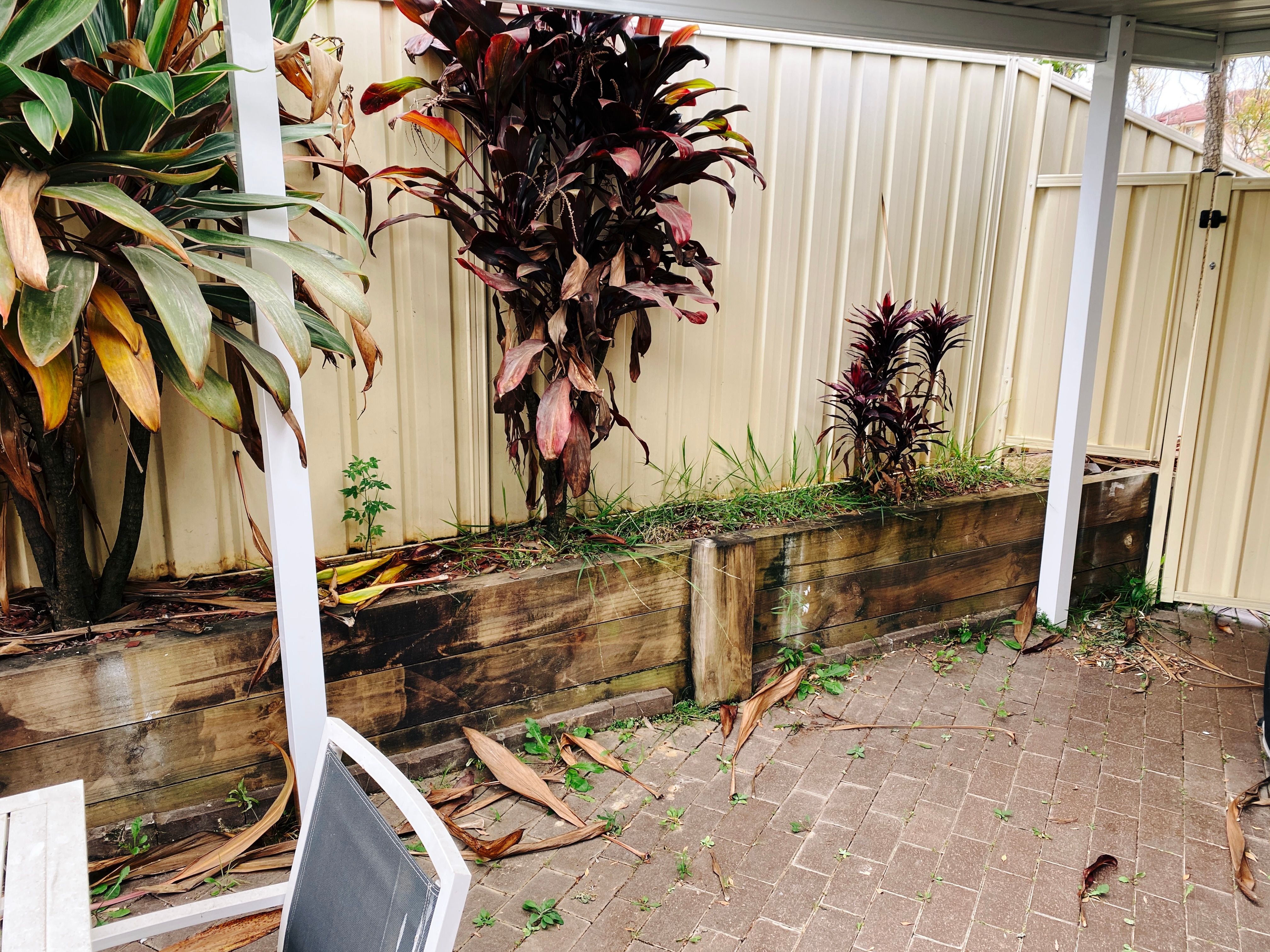 A photo of a narrow raised garden bed alongside a fence, there's two palm-type trees in it, a fair few grassy weeds, and the red mulch coverage is fairly patchy and it looks very dull.