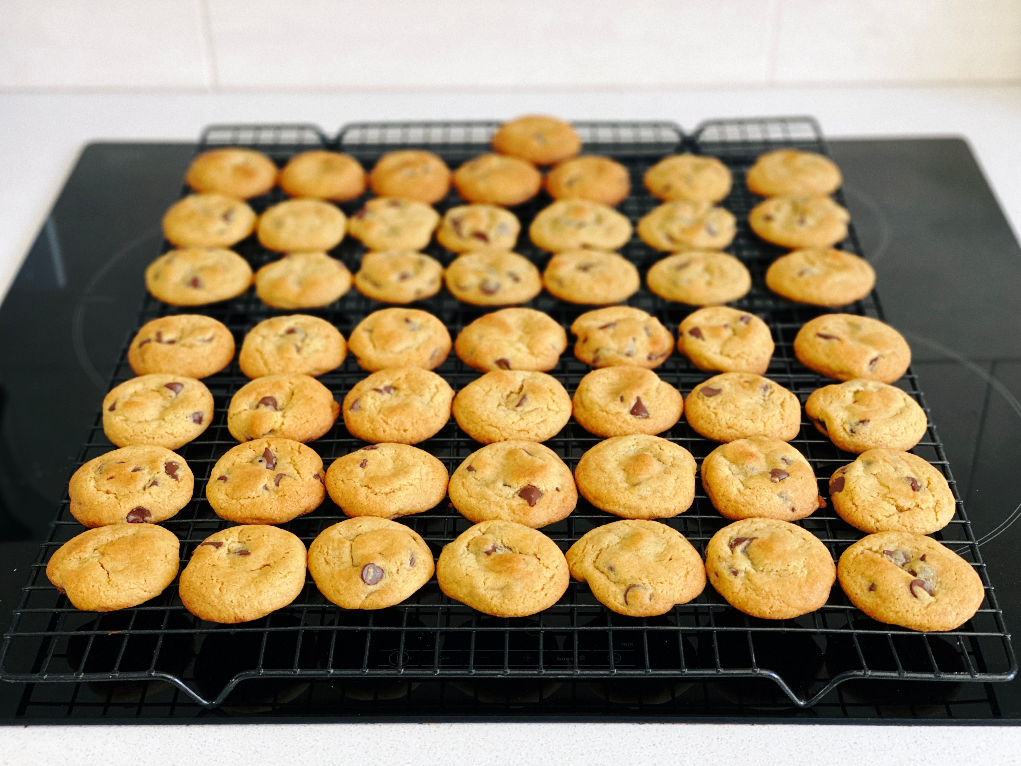 A photo of 50 (yes, five zero) small chocolate chip cookies sitting on a cooling rack.