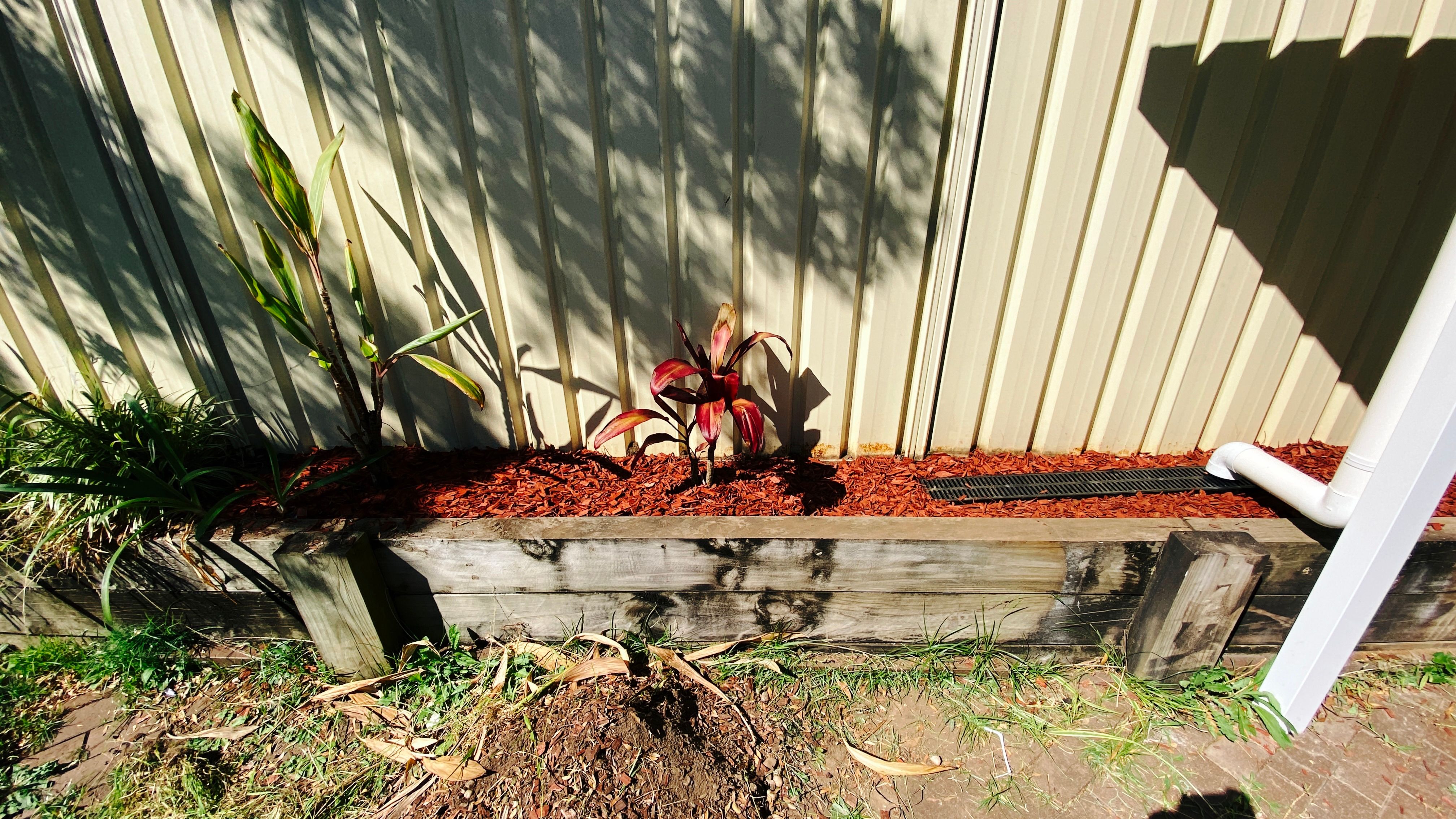 A photo of a narrow raised garden bed alongside a fence. The garden bed is covered in fresh red mulch and there's a metre-long black grate in it that the drainpipe that comes down from the pergola drains into.
