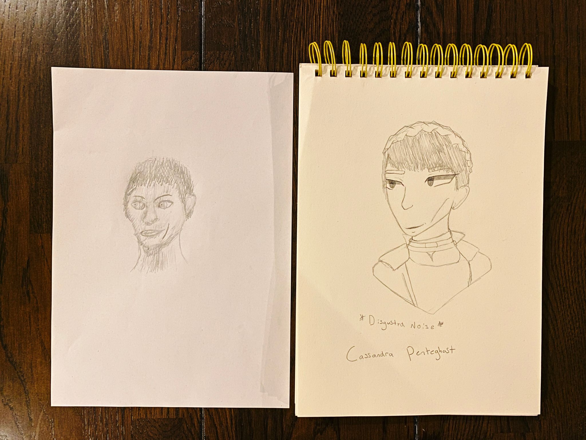 Another two pencil drawings, this time of Cassandra Pentegast, a woman with short hair and a scar down one side of her mouth, and both are in 3/4 profile. Mine is very rough and has what's meant to be kind of cross-hatch-style shading but it's ended up looking more like she has a wispy beard. Lily's is in the same stylised clean and tidy style as the first picture.