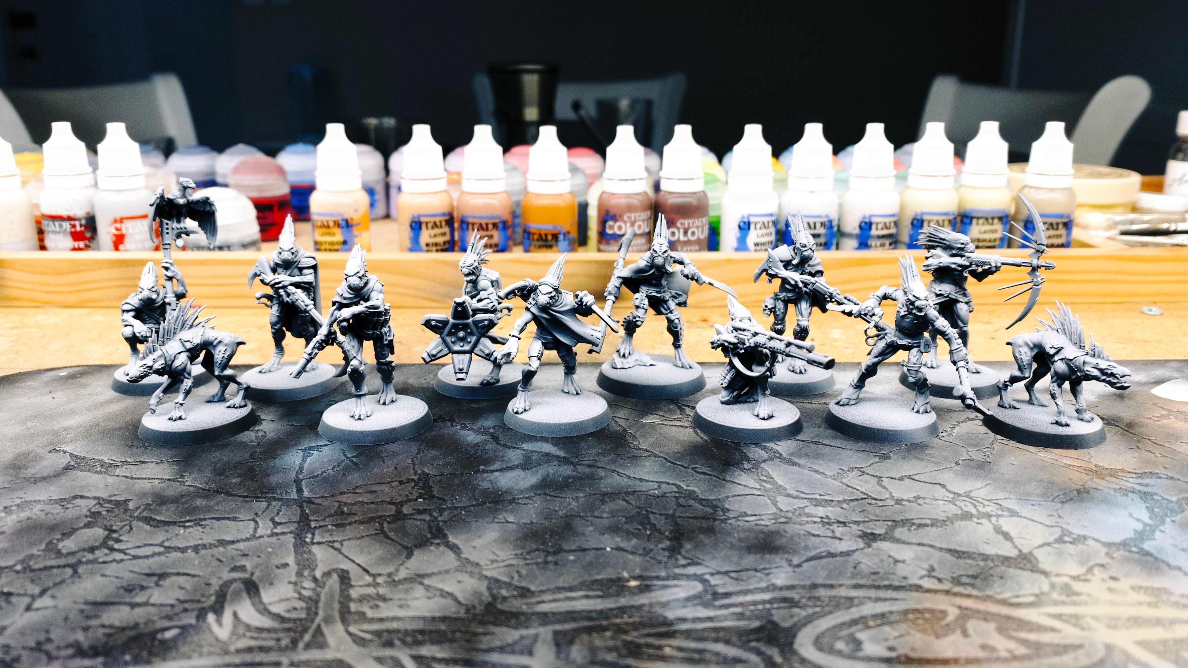 A photo of ten assembled and undercoated humanoid but extremely clearly not human miniatures, plus two more that look kind of like a cross between a dog and a pig. The humanoids are fairly spindly and have faces that almost look like turtles, and their "hair" is spines that stick straight out from the back of their heads. Their clothing is quite organic, there's a bit of armour but it's quite worn-looking. They're all wielding various weapons, mostly extremely long rifles.