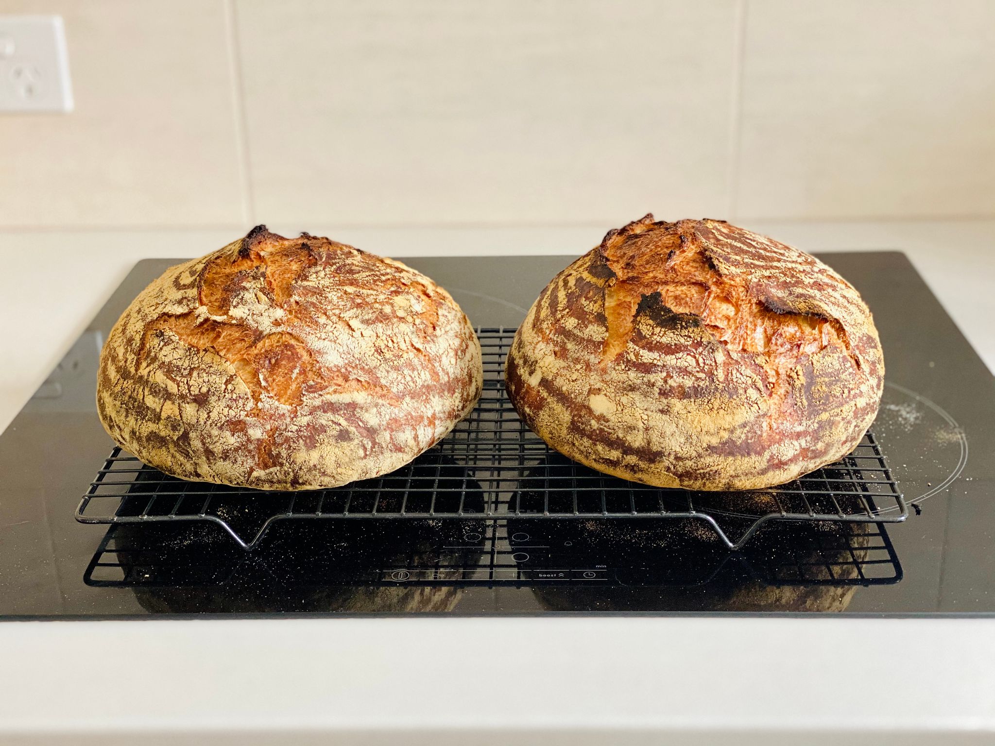A photo of two round dark brown loaves of bread sitting on a soiling rack. They're split open nicely along the top and have the round flour pattern that comes from a proofing basket.