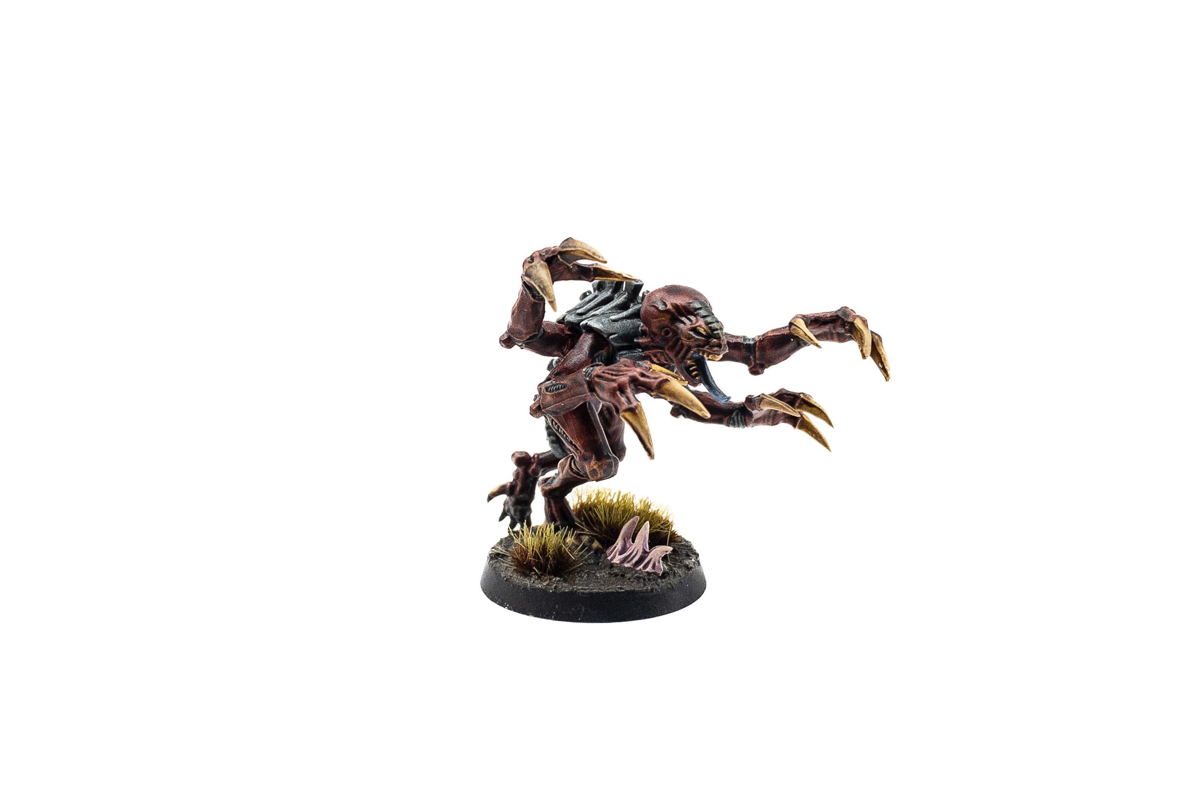 A photo of a Tyranid Genestealer. It's an Alien-esque creature with a long tongue and four arms with huge claws on it. Its skin is dark red and it's got a black carapace and all four arms have hands with huge yellow claws on them. The base looks like muddy ground with small swampy-looking grasses on it.