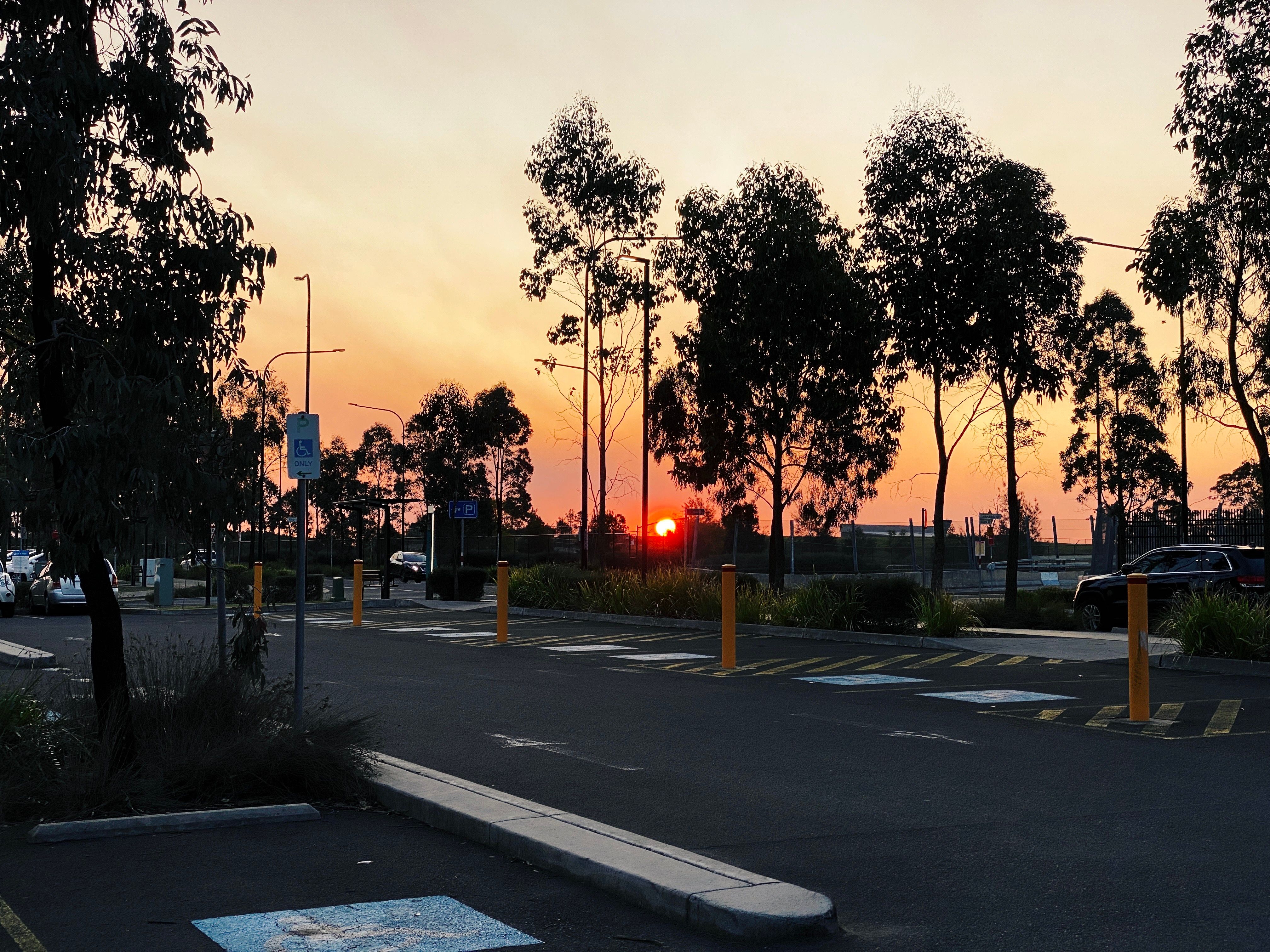 A view through the trees in a commuter carpark, the sun is right at the horizon and is extremely orange from all the bushfire smoke.