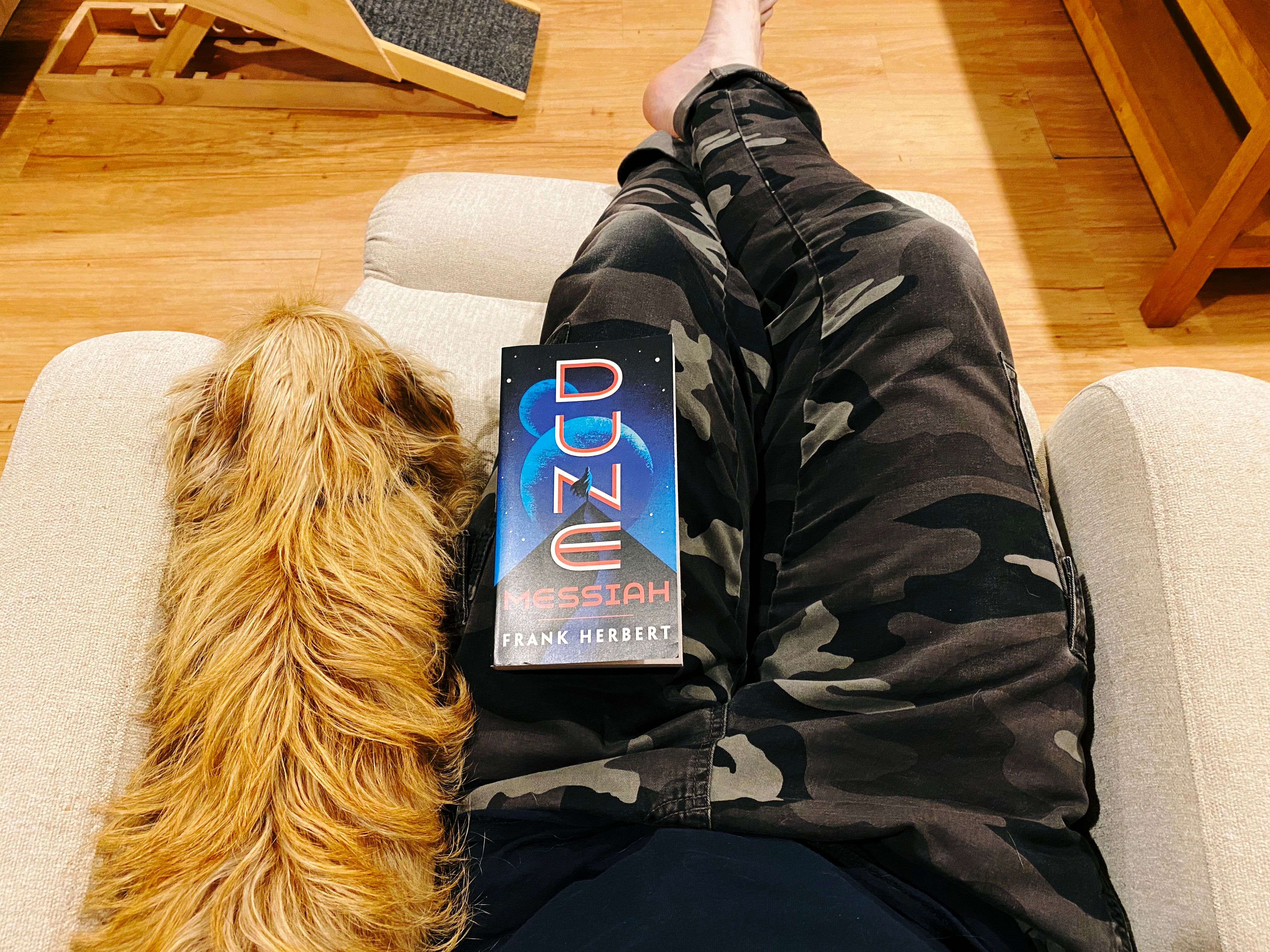 A photo taken from my perspective looking down towards my lap, I'm sitting in a single seat lounge chair with my legs reclined. On my lap is the novel Dune Messiah and wedged next to me between my left thigh and the arm of the chair is a small scruffy blonde dog.