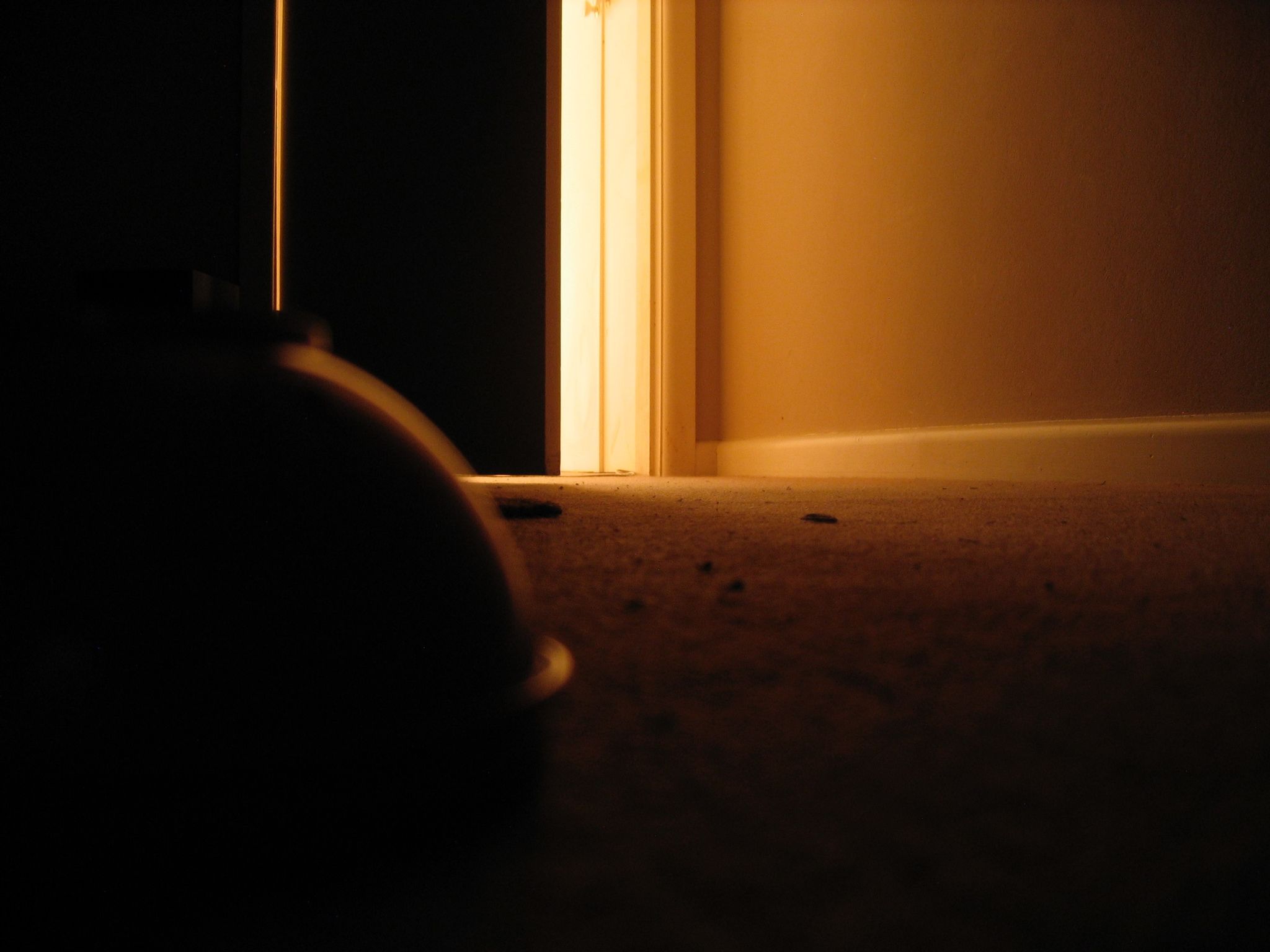 A long exposure photo looking out towards a partially-closed door, taken with the camera sitting on the floor. The room is dark and there's very warm light coming in from the doorway. An upside-down plastic toy bowl is out of focus at the left of frame.