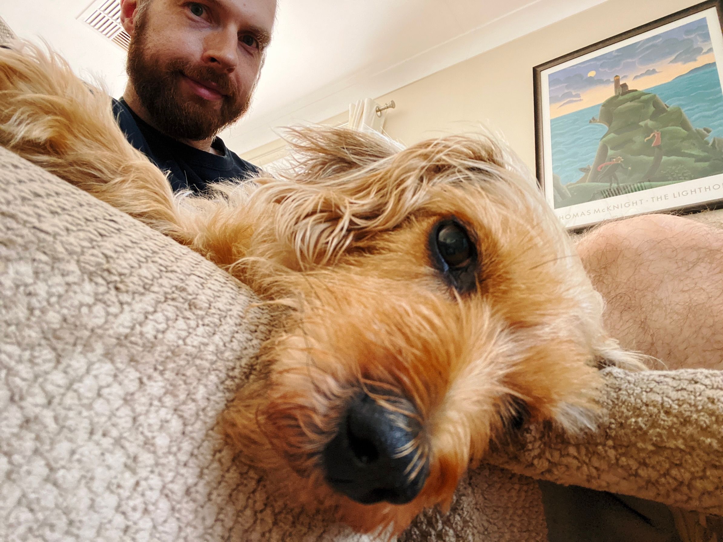 A photo of the same scruffy blonde dog but this is taken with the front-facing camera with me holding the phone down in front of where his head is off the edge of the lounge so his head fills the photo. He looks very sleepy. I'm in the background smiling at the camera, a white man with a reddish beard.
