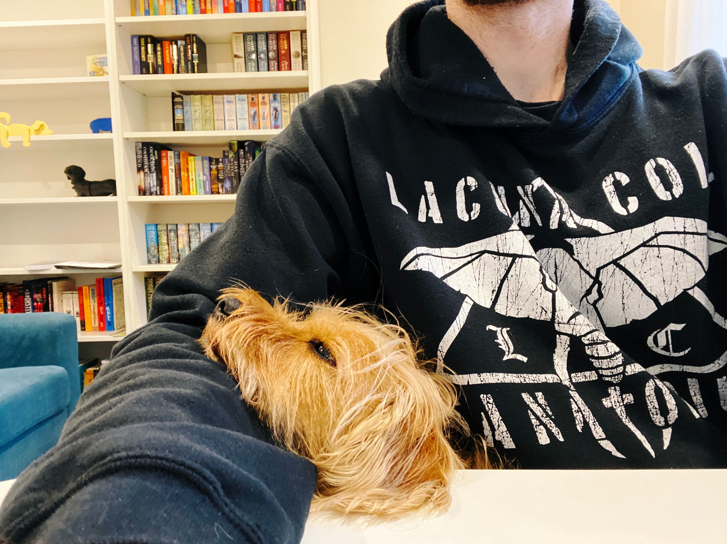 A photo taken with the front-facing camera with me sitting at my desk and the camera aimed at me, with the head of a small scruffy blonde dog popping up from my lap and resting on my arm. His eyes are half-closed.