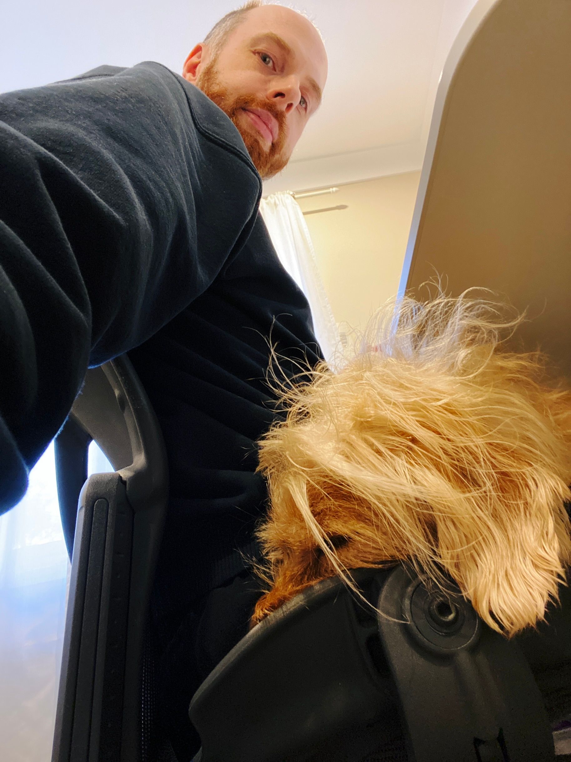 A selfie taken from a very low angle next to my chair. I'm a pale man with a red beard, and in my lap and partially curled around my side is a small scruffy blonde dog fast asleep with his snoot mushed in between my leg and the raised plastic bit at the edge of the chair.
