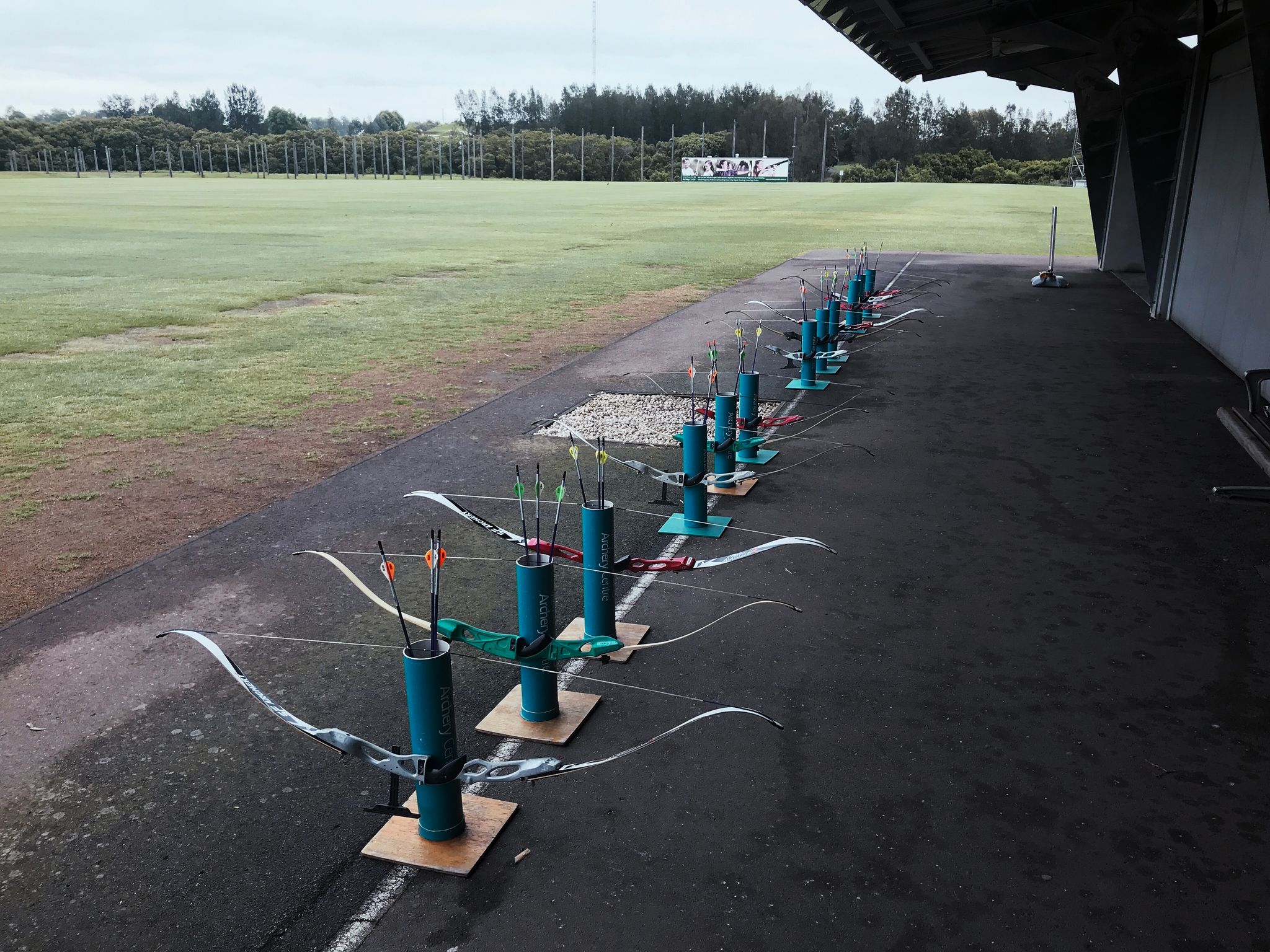 A row of bows and arrows lined up, ready to use.