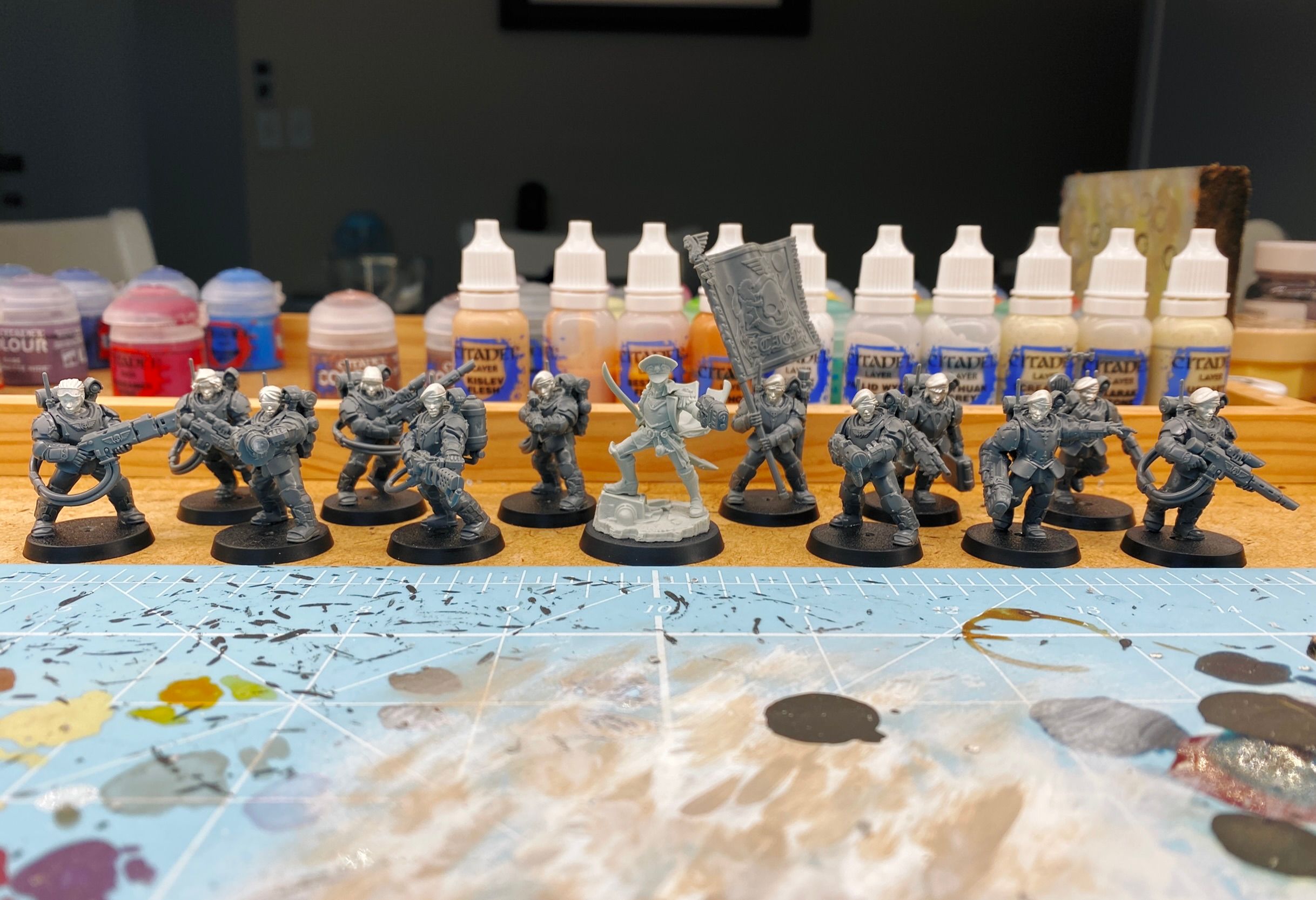 A photo of 13 miniatures, 12 in plain grey plastic and one light grey resin, all heavily armoured. They're all wielding various guns, one is waving a huge regimental standard above her head, and the leader is standing on a rock wearing a military cap with her cloak billowing out from behind her while she aims a plasma pistol. The heads of all the grey plastic ones are shiny pewter instead of being plastic and are mostly wearing berets, and they're all clearly female.