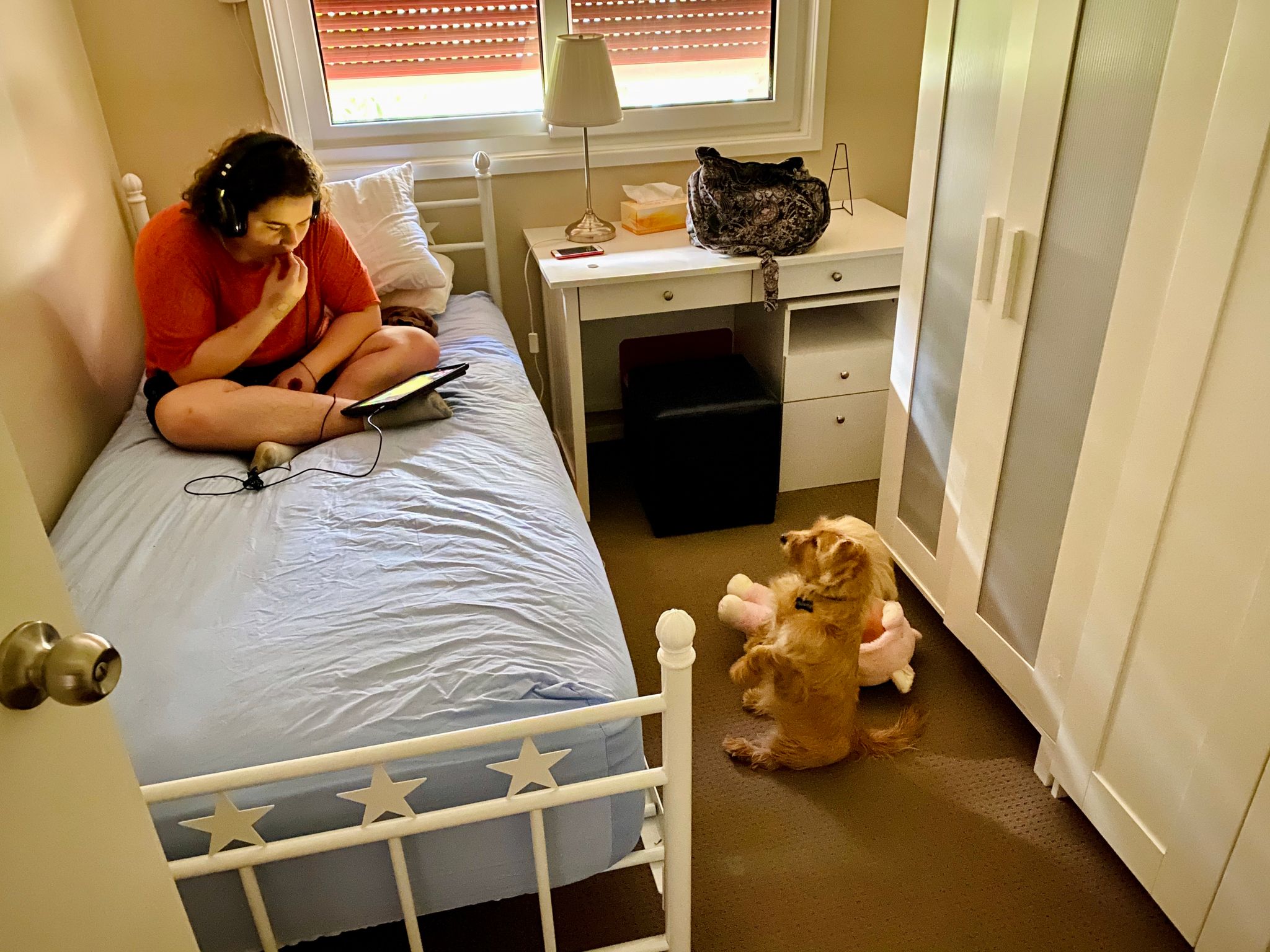 A brown-haired girl is sitting on her bed using her iPad while she eats a carrot, and a small scruffy blonde dog is sitting upright staring intently at her.