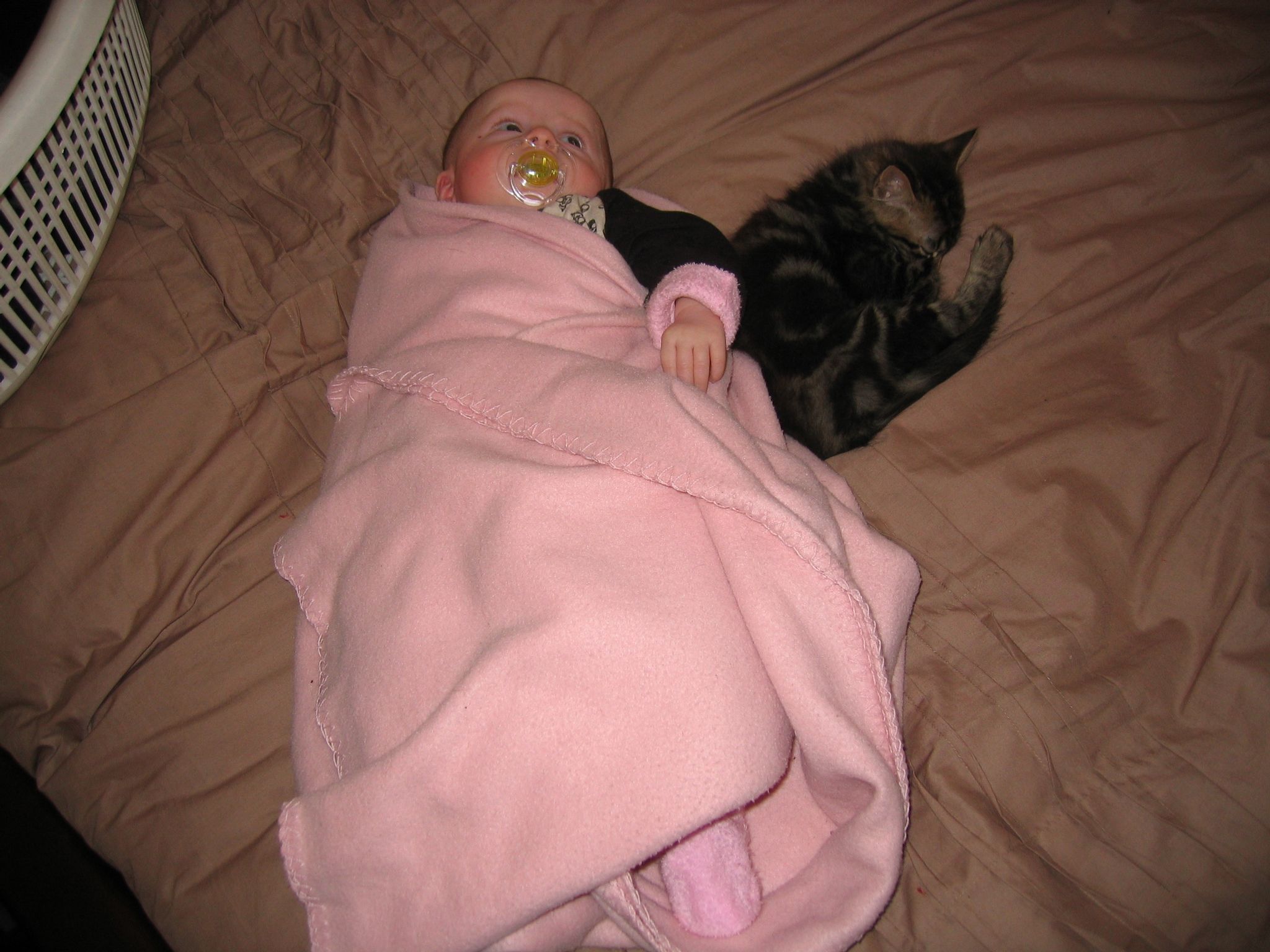 A photo of a small baby with a dummy in, wrapped in pink blankets, with a tabby kitten curled up asleep next to her.